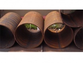 Mild Steel Roll Plate Customization Services 03